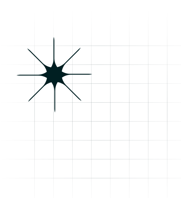 ornament image about page