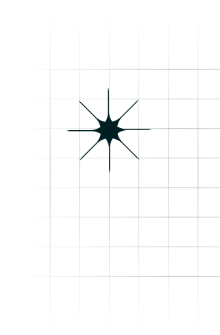 ornament image about page