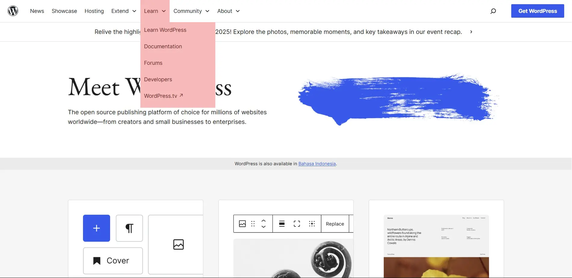 Mangcoding WordPress Merupakan Pilihan Ideal 3